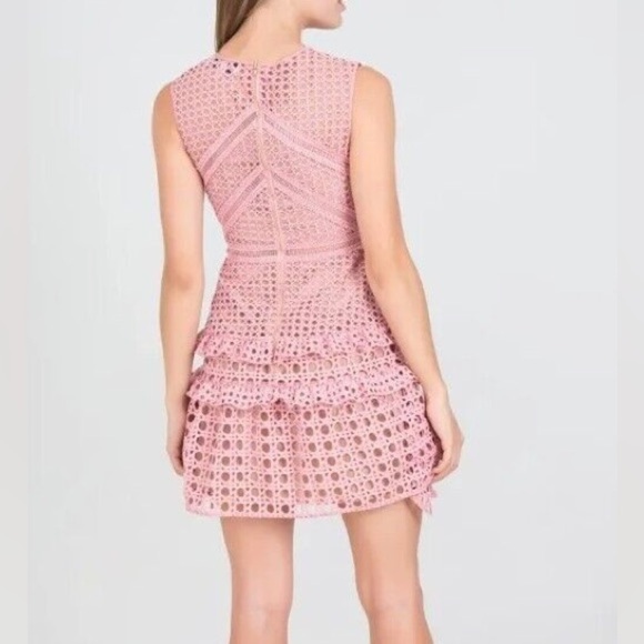NWT Self-Portrait Crosshatch Frill Mini Dress Pink Guipure Lace Barbie Sz 8 - Picture 2 of 16